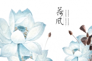 荷花 莲蓬 古风  荷风