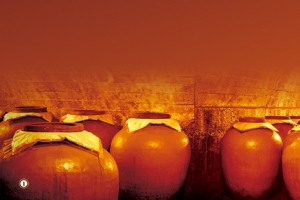 红酒酒窖背景banner