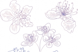 紫色手绘樱花