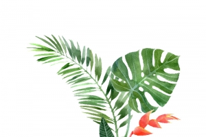 水彩画墨绿色植物花朵叶子
