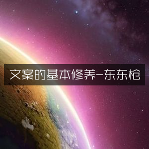 文案精进指南-东东枪|实用工具书籍