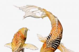 龙鳞鲤鱼卡通