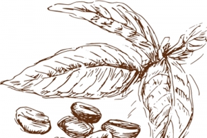 咖啡、饮品png