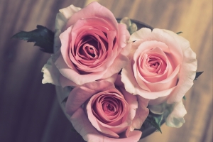 玫瑰花 花瓣 爱 花束 浪漫 婚礼 婚姻 4k图片