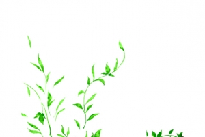 绿色卡通花藤设计端午