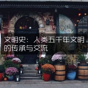 文明史，探索人类五千年传承与交流的纪实自然书籍