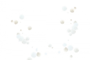 圣诞雪花