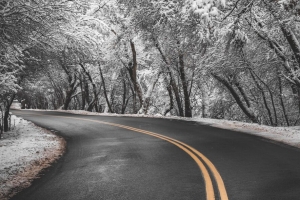 道路 转弯 沥青 标记 树木 雪 冬季 4k壁纸 3840x2160