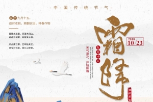 中国风简约大气霜降节气海报
