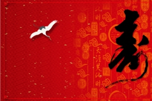 红色底纹banner