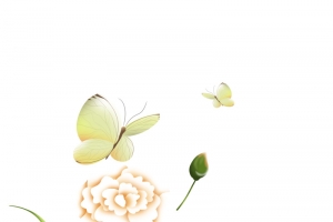 花朵手绘蝴蝶元素