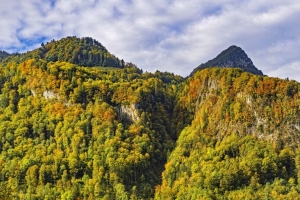 山 峰 树 秋天 风景 4k壁纸 3840x2160
