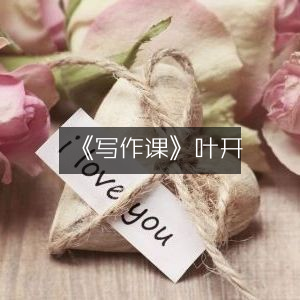 《写作课》叶开，实用工具图书指南