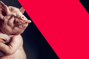 创意文化海报banner