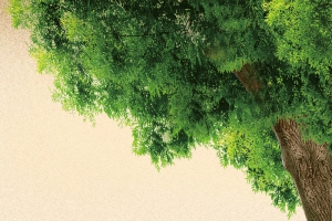 毕业季青春同学录自行车背景素材