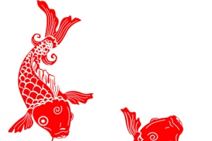 锦鲤环绕拜年素材图片