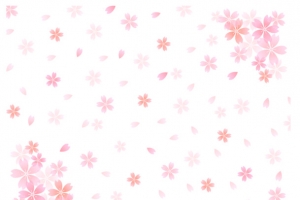粉色樱花