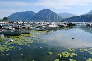 湖 码头 船 山 睡莲 自然 4k壁纸 3840x2160