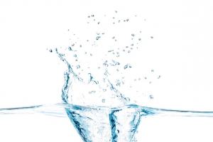 水果 水