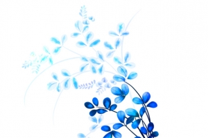 青花瓷花朵图案