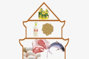 现代合理膳食