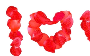 LOVE玫瑰花瓣艺术字