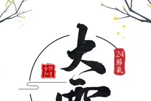 大雪树枝云房屋雪地