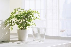 绿植水杯休闲商务图