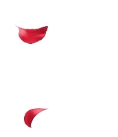 花瓣漂浮