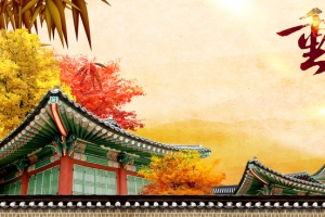 九九重阳节文艺中国风banner
