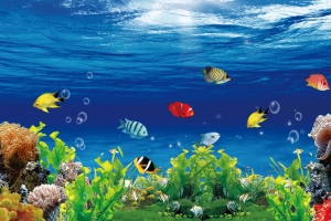 海底世界捕鱼达人海报背景素材