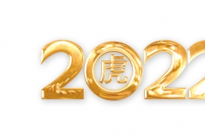 2022春节元素