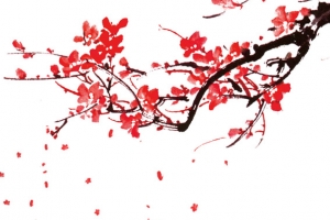 梅花