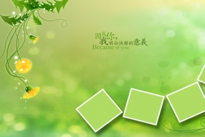 绿色背景