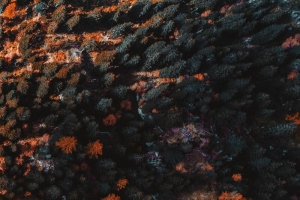 弯弯曲曲的盘山公路