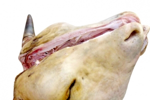牛头肉一整块