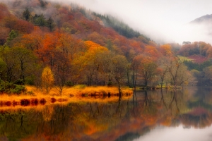 森林 薄雾 秋天 湖泊 山水倒影 3440x1440风景带鱼屏壁纸