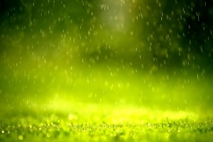 水滴雨滴唯美绿色