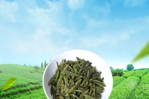 茶叶主图背景高清PNG透明植物装饰元素设计素材免费下载