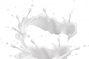 牛奶饮品创意贴画高清PNG透明装饰元素特效设计素材免费下载