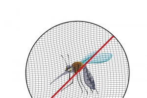 纱网防蚊虫，防虫，阻挡蚊子蚊帐