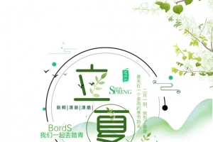 立夏树枝花朵花丛