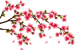 桃花边角装饰