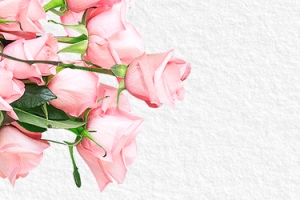 婚庆花卉花朵浪漫banner