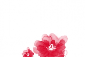 花卉