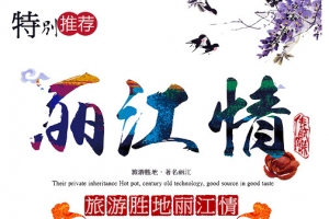 丽江情海报