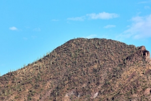 斜坡 山 岩石 灌木 天空 4k壁纸 3840x2160