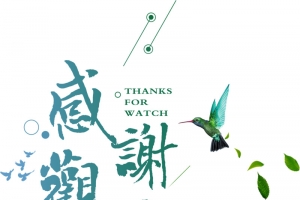 PPT结尾，感谢观看
