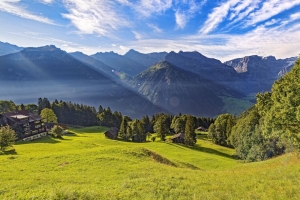 山谷 草 树 山 阳光 风景 4k壁纸 3840x2160