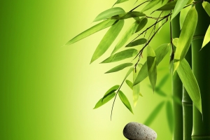 竹子,石头,水,绿色背景图片